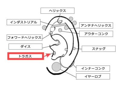 バスケ吉田亜沙美のピアス（トラガス）